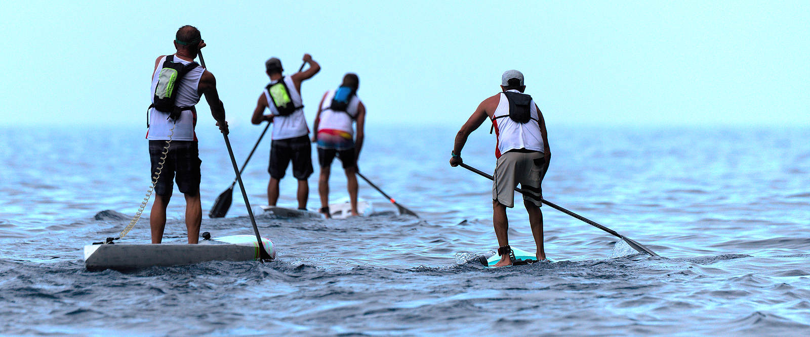 Paddleboard race as a corporate team building event, Pembrokeshire